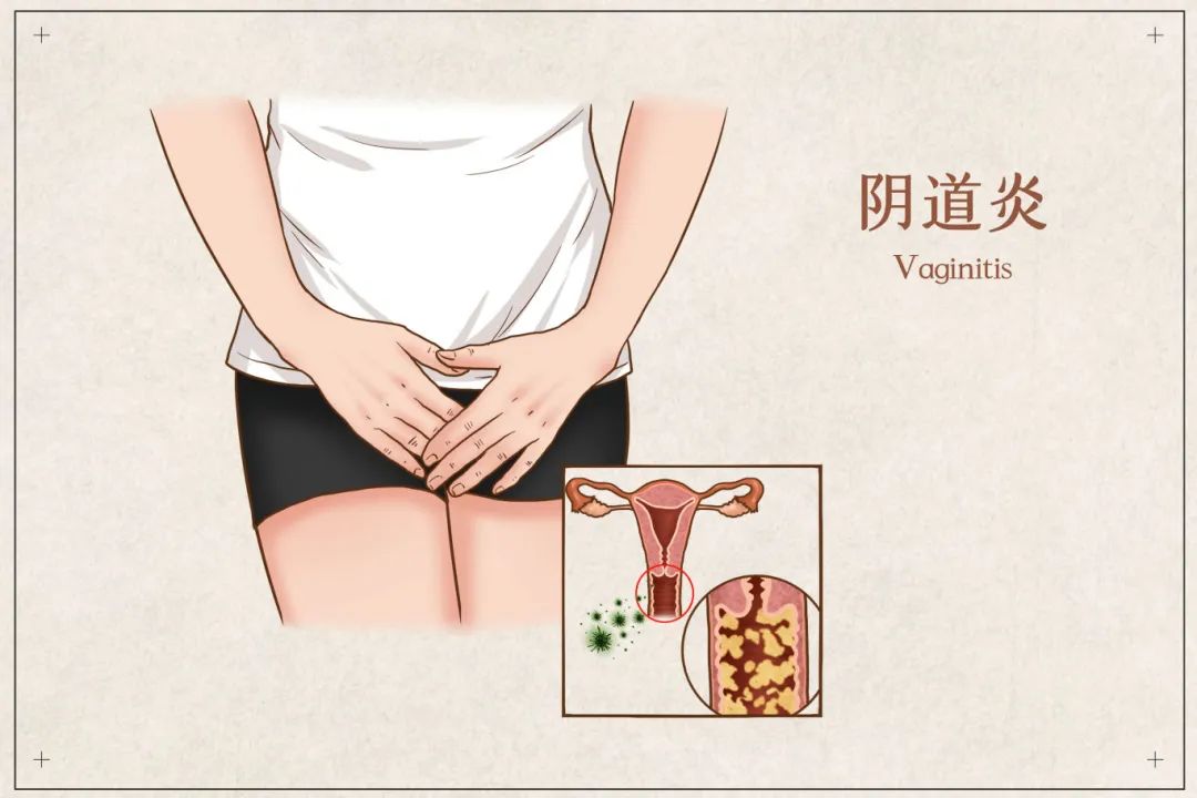 微信图片_20250318102222.jpg