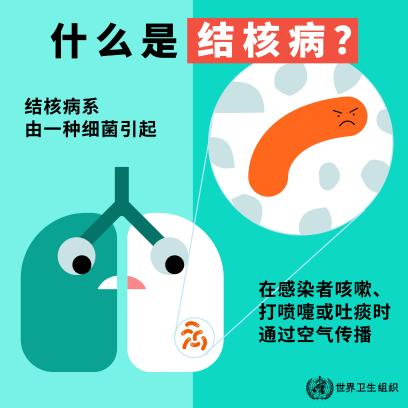 微信图片_20250328093154.png