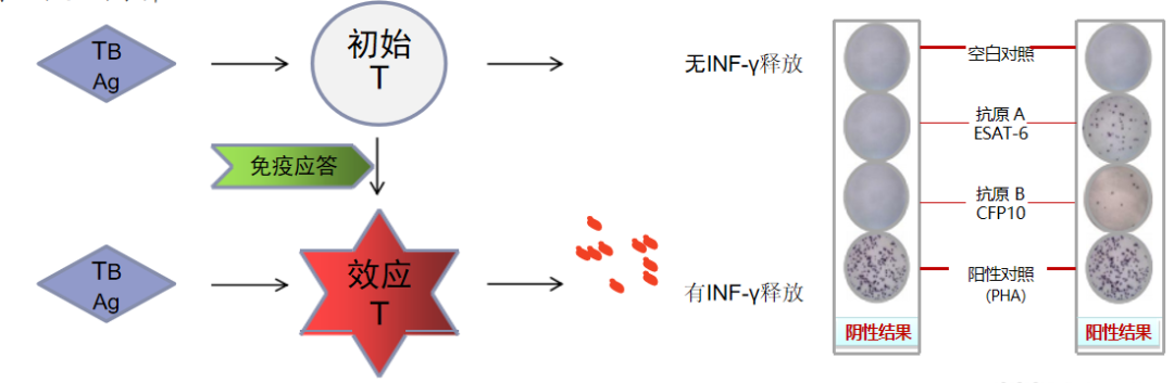 微信图片_20250328093207.png