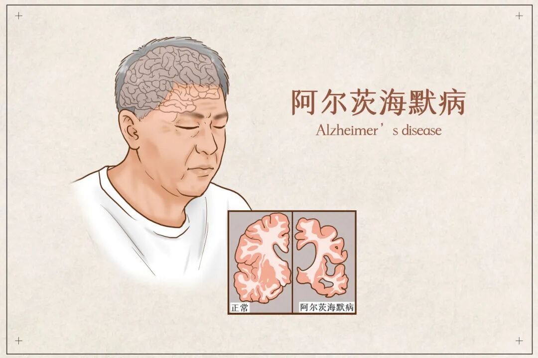 微信图片_2025-09-24_164636_313.jpg